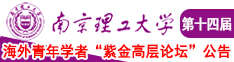 fc2视频亚洲南京理工大学第十四届海外青年学者紫金论坛诚邀海内外英才！